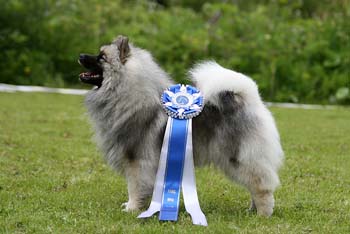 Eswood Nereida "Nessi"